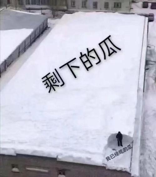 吃瓜网平替,带你走进不一样的网络世界