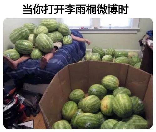 网今日吃瓜大赛
